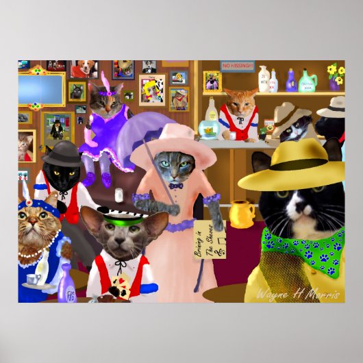 Poster The Saloon Figure 1 (Devant)