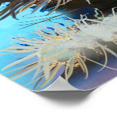 Poster The set of cats portraitsart, portrait,animal,exem (Coin)