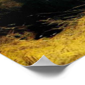 Poster The Shrew Tamed (Coin)