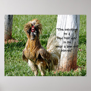 Poster The Solution to a Bad Hair Day Humor