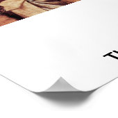 Poster The Sphinx Or The Caresses By Fernand Khnopff (Coin)