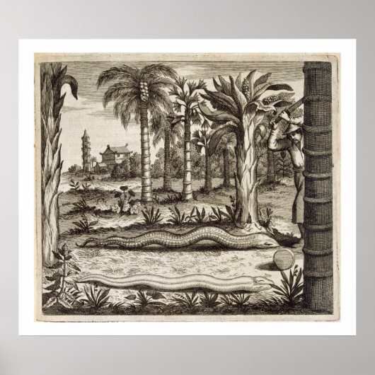 Poster The Stone Snake, from 'China Illustrated' by Athan (Devant)