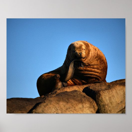Poster The Thinker - Estampes d'art fin (Devant)