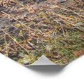 Poster The Way Across (Coin)