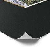 Poster The Weeping Cherry Tree: Ōno-ji temple (Coin)