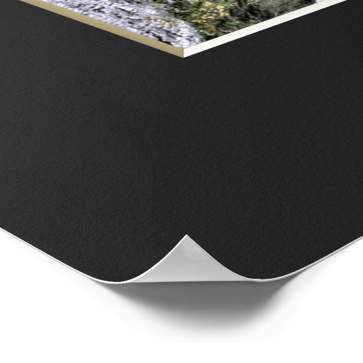 Poster The Weeping Cherry Tree: Ōno-ji temple (Coin)