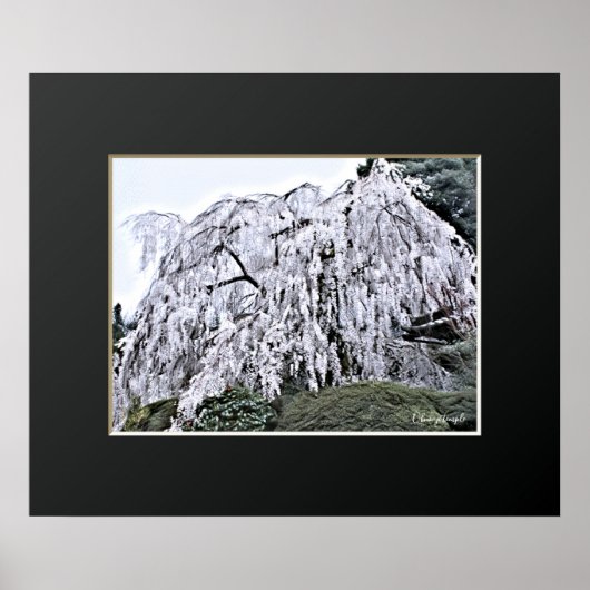 Poster The Weeping Cherry Tree: Ōno-ji temple (Devant)