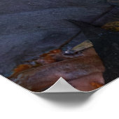 Poster The White Mushroom (Coin)