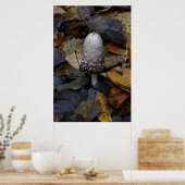 Poster The White Mushroom (Cuisine)