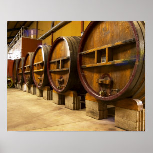 Poster The wine cellar winery with big old wooden casks