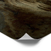 Poster Théâtre Dolls, Cavernes Carlsbad (Coin)