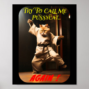 Poster Thème Karate humoristique