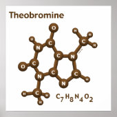 Poster Théobromine (Devant)