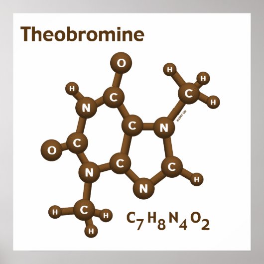 Poster Théobromine (Devant)