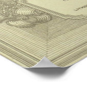 Poster Theodore Roosevelt (Coin)