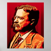 Poster Theodore Roosevelt (Devant)