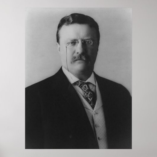 Poster Theodore Roosevelt Portrait (Devant)