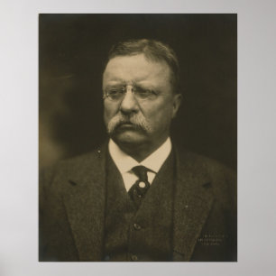 Poster Theodore Roosevelt Portrait par Pach Brothers