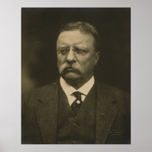 Poster Theodore Roosevelt Portrait par Pach Brothers (Devant)