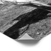 Poster Theodore Roosevelt Revient D'Une Chasse Aux Ours (Coin)