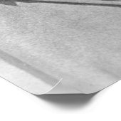 Poster Theodore "Teddy" Roosevelt (Coin)