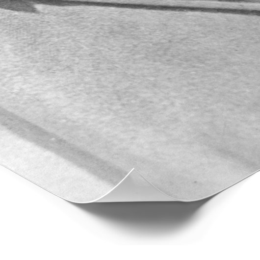 Poster Theodore "Teddy" Roosevelt (Coin)