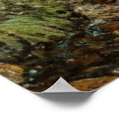 Poster Thérapie de la nature Enneking's Calming Trout Pon (Coin)