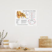 Poster Thérapie de massage musculaire pour l'otite (Cuisine)