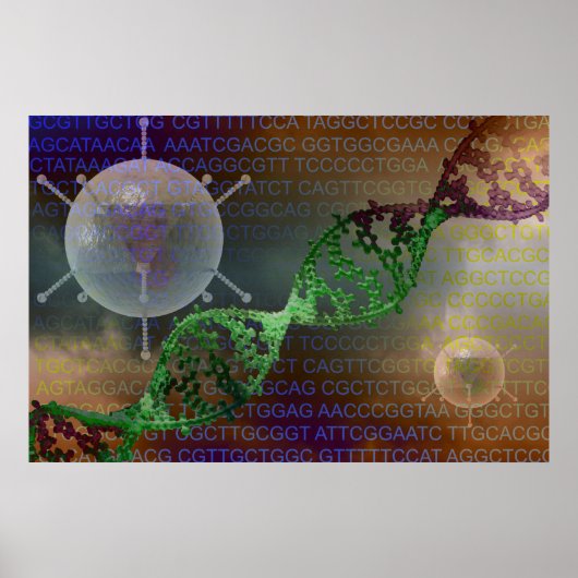 Poster Thérapie génétique (Devant)