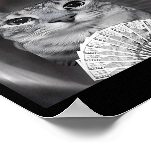 Poster There Is Motion At Your Front Door Funny Cat Motio (Coin)