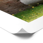 Poster Thermes de Caracalla (Coin)