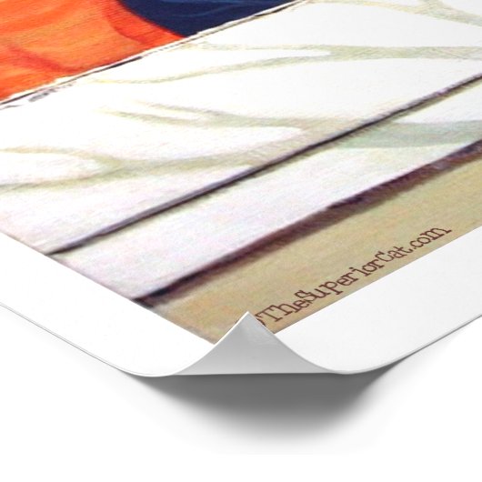 Poster TheSuperiorCat - Vue intérieure (Coin)