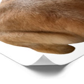 Poster Thicc Boi Gras et amusant Yellow Labrador Retrieve (Coin)