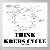 Poster Think Krebs Cycle (Citric Acid Cycle - TCAC) (Devant)