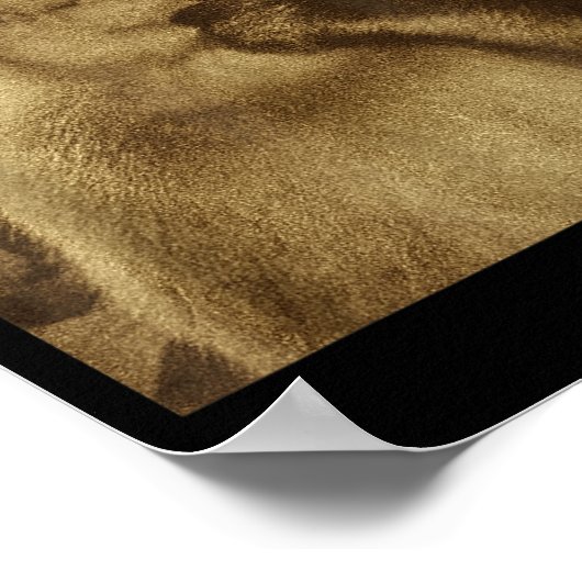 Poster Thinking Monkey Meme Vintage Retro  (Coin)