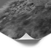 Poster Thirlmere (Coin)