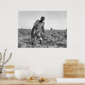 Poster Thirteen-year old Plowing a Field in Georgia (Cuisine)