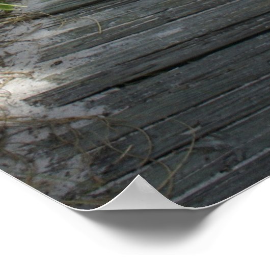 Poster This to paradise (Coin)