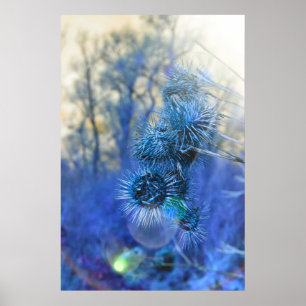 Poster Thistle in Purple