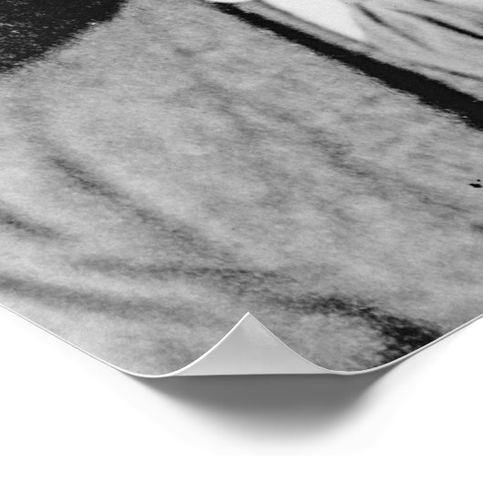 Poster Thoby Stephen, c.1902 (Coin)