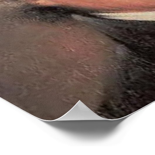 Poster Thomas Jefferson (Coin)