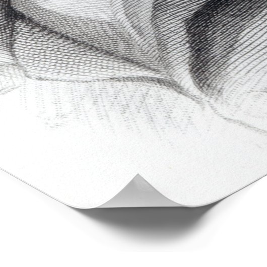 Poster Thomas Telford, 1831 (Coin)