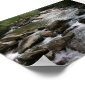 Poster Thompson (Coin)