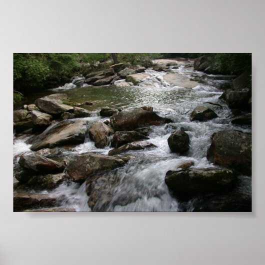 Poster Thompson (Devant)