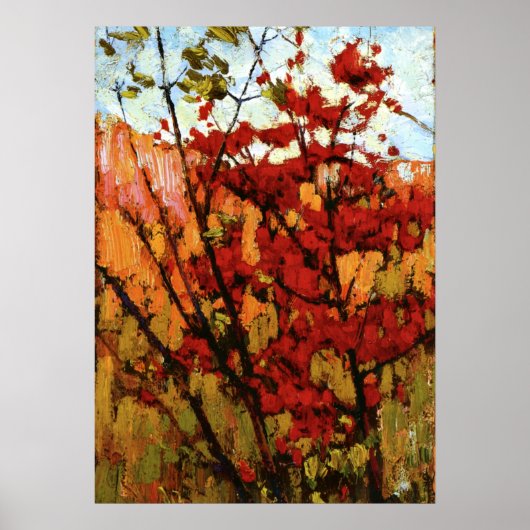 Poster Thomson - Érable molle en automne (Devant)