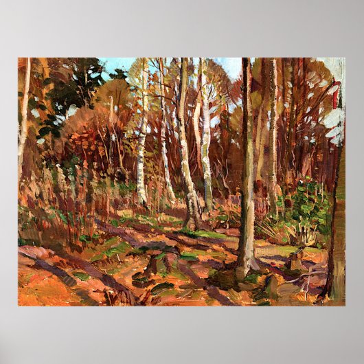 Poster Thomson - Vue sur le parc Algonquin, (Devant)