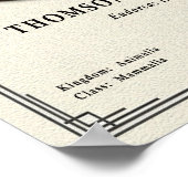 Poster Thomson's Gazelle Zoology Series (Coin)