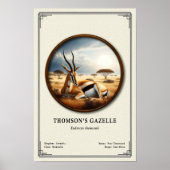 Poster Thomson's Gazelle Zoology Series (Devant)