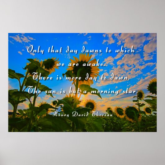 Poster Thoreau, étoile du matin (Devant)