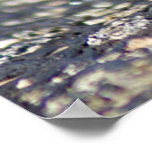 Poster Thorny Devil Lizard Outback Australie, jusqu'à 24x (Coin)